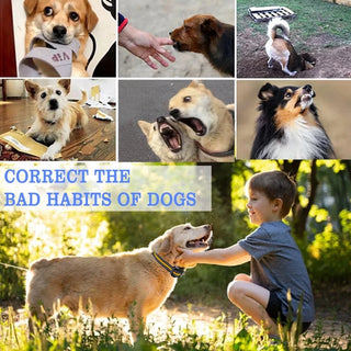 Sakerplus Waterproof Dog Training Collar with Remote