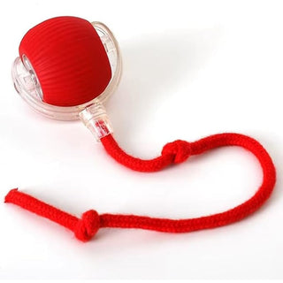 Sakerplus® Smart Automatic Rolling Pet Ball
