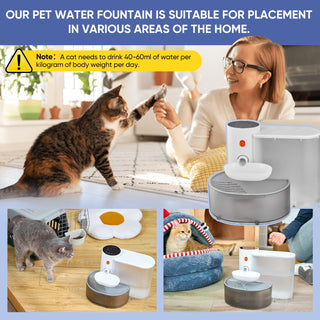 Automatic Pet Water Fountain