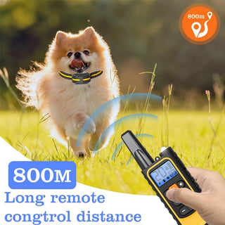 Sakerplus Waterproof Dog Training Collar with Remote