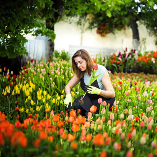 Sakerplus Garden Weed Pulling Tool