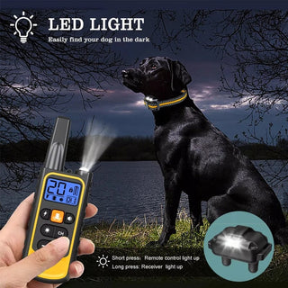 Sakerplus Waterproof Dog Training Collar with Remote